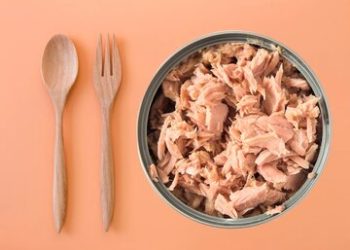کنسرو ماهی تن مفید است؟/ مزایا و عوارض مصرف کنسرو ماهی تن