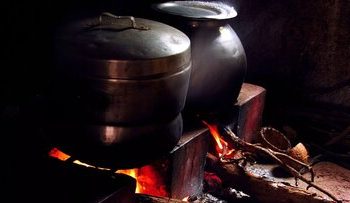 انسانها از چه زمانی شروع به پختن غذا کردند؟