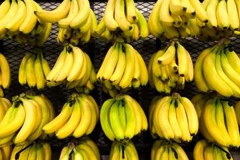 ۵ غذای سالم که در کمال تعجب باعث مرگ می‌شوند!