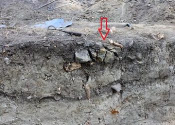 بقایای کودکان «خون‌آشام» کشف‌ شد / عکس