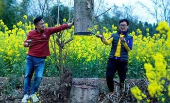 خلق آثار هنرمندانه و جالب با استفاده از خطای دید