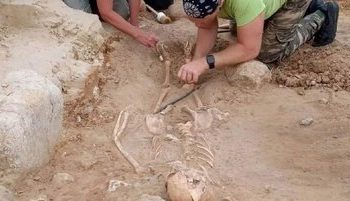 کشف نشانه‌ای از دوران زن سالاری در گورستان ۵۶۰۰ ساله