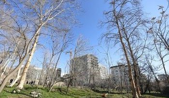 باغ ۲۰۰ ساله در معرض نابودی/ شهردار منطقه یک: به ما گفتند باغ معارض دارد