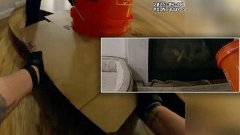 ورود ماری بزرگ به خانه‌ای در آمریکا/ عکس