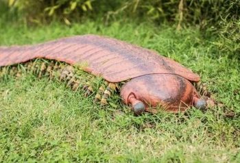 چهره بزرگترین حشره جهان / هیولایی به اندازه تمساح