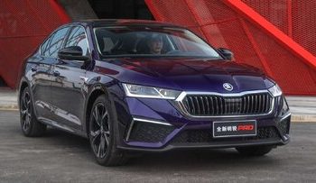 اشکودای تازه‌نفس بازار ایران /عکس