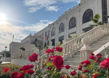 قوانین-و-مقررات-هتل-بزرگ-رز-شیراز