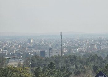 در روزهای آلوده این مواد غذایی را مصرف کنید