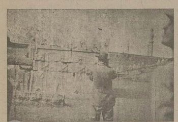 ولیعهد سوئد در تختجمشید + عکس