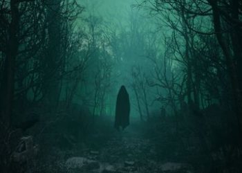 صدای جیغ زنی که در آتش میسوزد یا صدای اجنه؟/ «جنگل جیغ»، مکانی اسرارآمیز و وهمآلود در ایران