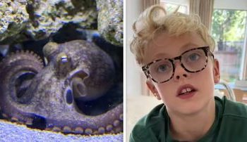 خرید هشت‌پا برای پسربچه، موجب دردسر خانواده شد/ عکس