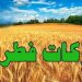 برای نخستین بار در کشور؛ اعلام مبلغ فطریه به تفکیک هر استان/ عکس