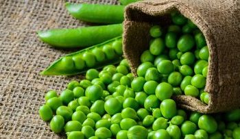 مصرف این نخود سلامتی را تضمین میکند