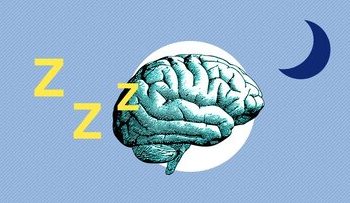 یک عامل مهم در تقویت حافظه و هوش