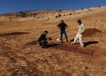 یک هیروشیمای فرهنگی در ایران اتفاق افتاده است/ ماجرای تهدید یک باستانشناس