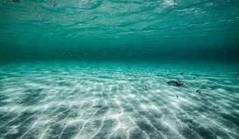 پس از ۷ هزار سال، دوباره زنده شد / موجودی که قرن‌ها خفته بود