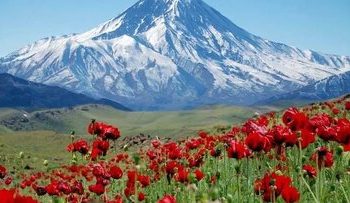 سفر یک‌روزه اطراف تهران‌ کجا برویم؟/ دشت لار، بهشت گمشده البرز؛ مقصدی بکر برای طبیعت‌گردی و عکاسی