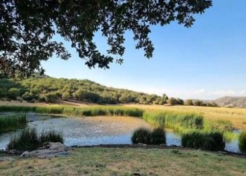 اگر دوست دارید به یک دریاچه «زل» بزنید، این روستا در انتظار شماست