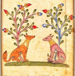 نسخه خطی مصور کلیله و دمنه در کتابخانه بودلیان آکسفورد+عکس