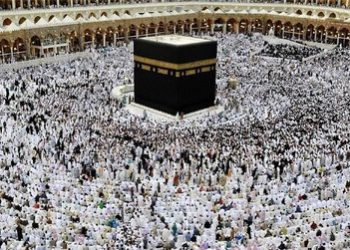 سازمان حج و زیارت اطلاعیه داد/ آمار ورود زائران ایرانی به سرزمین وحی اعلام شد