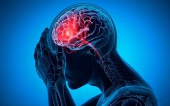 عملیات نجات مغز با خوردن این صبحانه