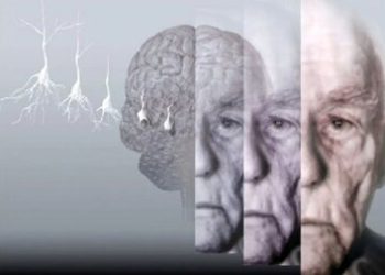 ۵ روش برای حفظ عملکرد مغز