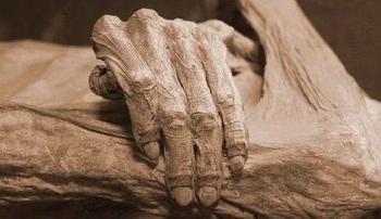 کشف معمای مومیایی کشیش اتریشی