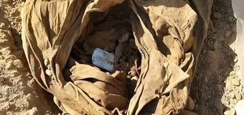 تفحص شهیدی با قمقمه پر آب در شب میلاد امام رضا(ع) +فیلم