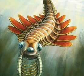 کشف جانوری ۵۰۰ میلیون‌ساله/ هیولای دریایی سه‌چشم با بدن خاردار