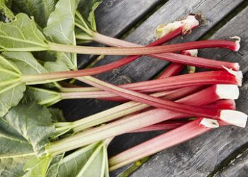 این خوراکی ترش، قلب و کبدتان را نجات میدهد