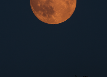 تصاویر ماه توت فرنگی