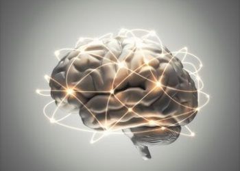 وزن شما چه ارتباطی با مغزتان دارد؟