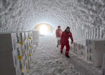 افشای راز ۱.۵ میلیون ساله قدیمیترین یخ زمین