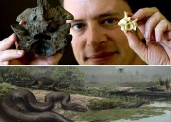 بیرون کشیدن مار ۹۰۰ کیلویی از معدن زغالسنگ / عکس