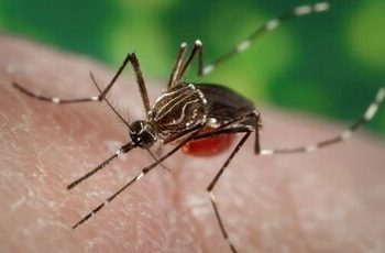 شیوع یک تب ویروسی در ۱۶ کشور