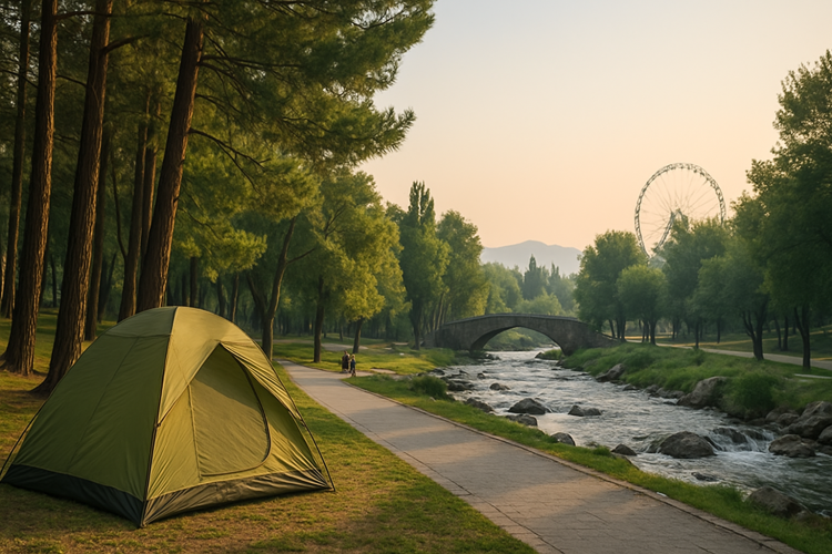 اسکان در مشهد